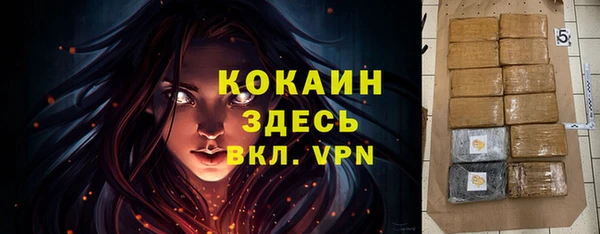 мяу мяу мука Арсеньев