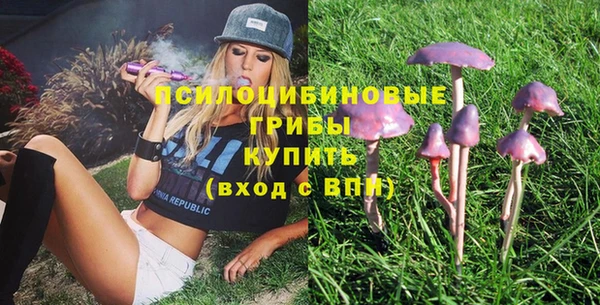 тгк Армянск