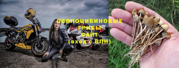 мяу мяу мука Арсеньев