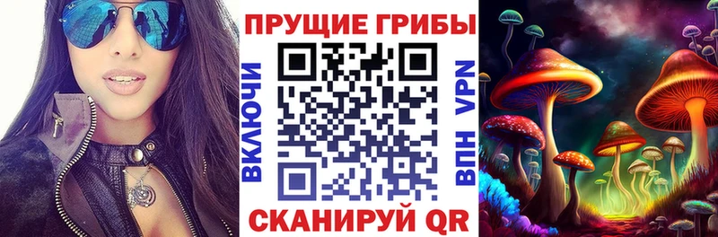 наркотики  Мамадыш  Галлюциногенные грибы Psilocybine cubensis 